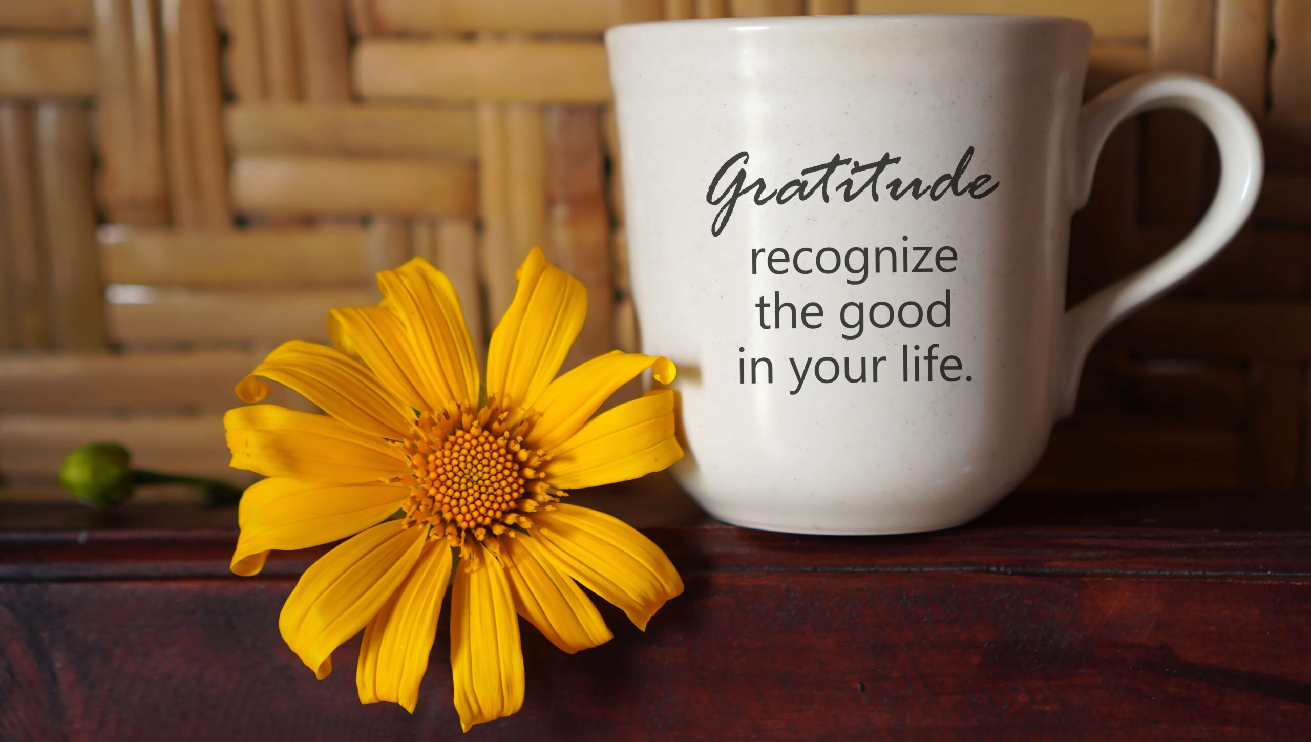 Gratitude Rocks: Experience the Life-Changing Benefits